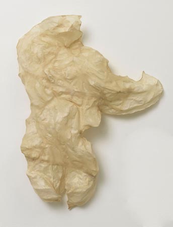 large image
